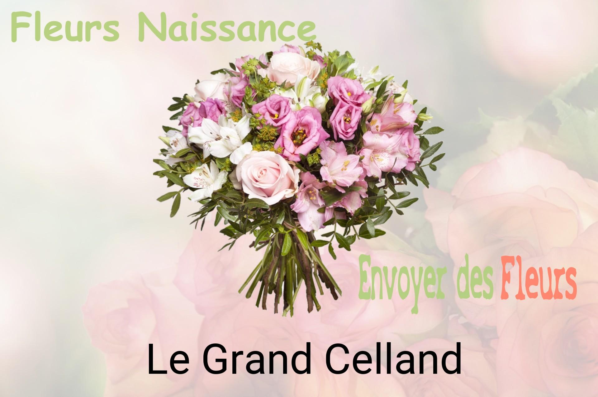 Bouquet de fleurs de naissance livré à Le Grand-Celland
